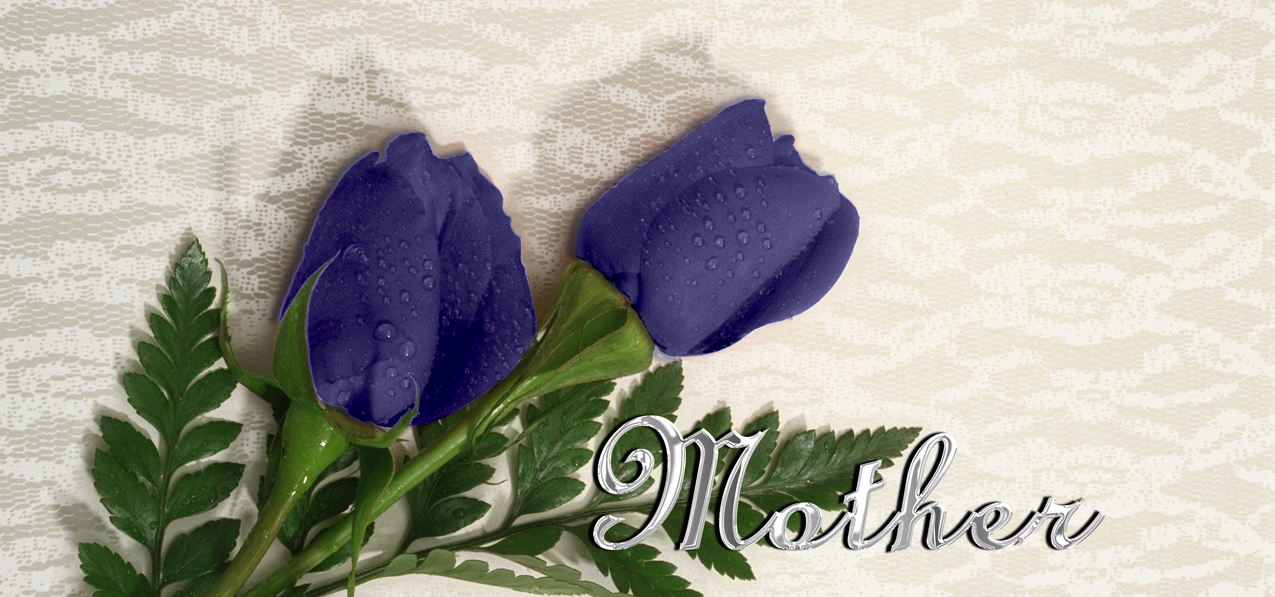 P 055 M SL 2 Roses Purple Silver Mother